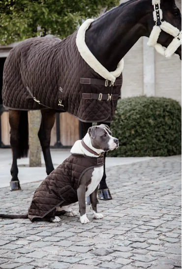 Kentucky Horsewear Hondendekentje extra zacht gevoerd, Iets voor jou? Kentucky Horsewear Hondendekentje extra zacht gevoerd, Iets voor jou?