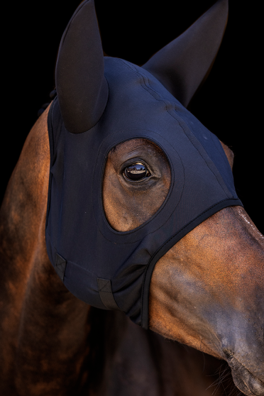 The COME BEST Titanium mask supports your horse for better concentration, eliminating fatigue and pain, relieving tension and in The COME BEST Titanium mask supports your horse for better concentration, eliminating fatigue and pain, relieving tension and in