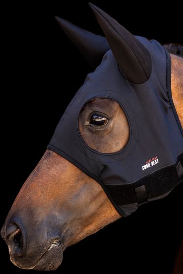 The COME BEST Titanium mask supports your horse for better concentration, eliminating fatigue and pain, relieving tension and in The COME BEST Titanium mask supports your horse for better concentration, eliminating fatigue and pain, relieving tension and in