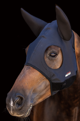 The COME BEST Titanium mask supports your horse for better concentration, eliminating fatigue and pain, relieving tension and in The COME BEST Titanium mask supports your horse for better concentration, eliminating fatigue and pain, relieving tension and in