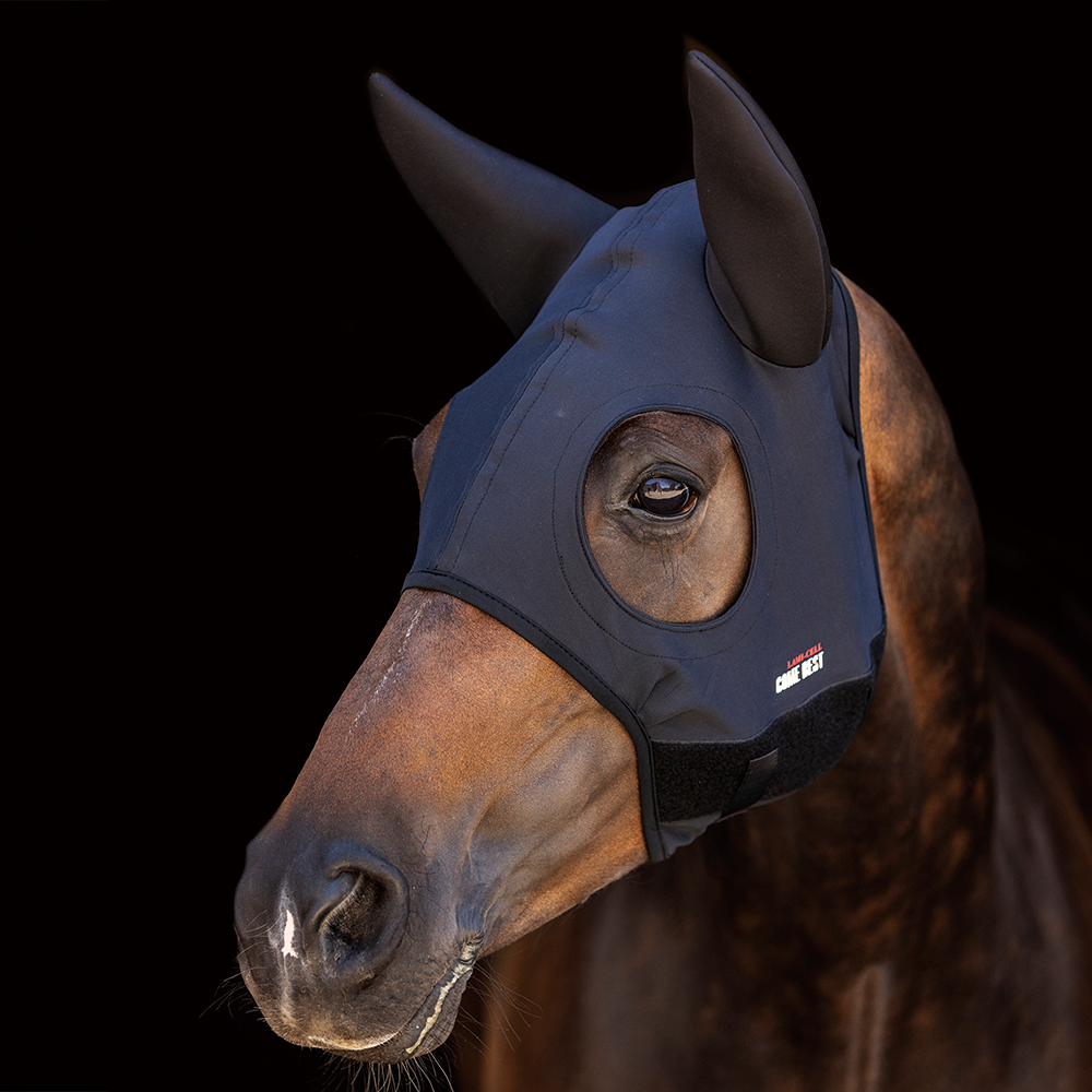 Lami Cell Titanium Masker Come Best Met Oren ondersteunt uw paard voor een betere concentratie, Lami Cell Titanium Masker Come Best Met Oren ondersteunt uw paard voor een betere concentratie,