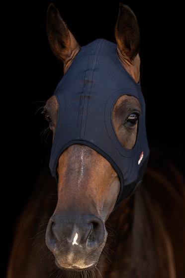 The COME BEST Titanium mask supports your horse for better concentration, eliminating fatigue and pain, relieving tension and in The COME BEST Titanium mask supports your horse for better concentration, eliminating fatigue and pain, relieving tension and in