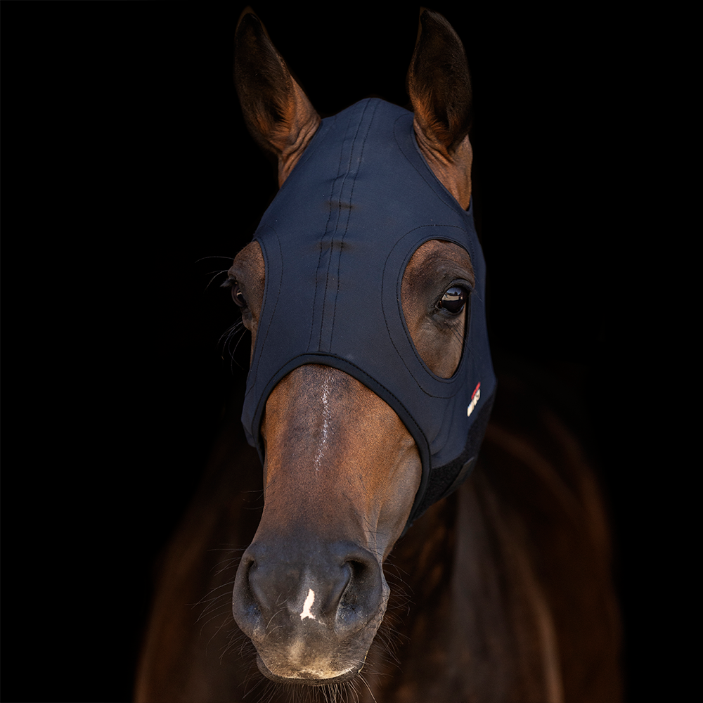 The COME BEST Titanium mask supports your horse for better concentration, eliminating fatigue and pain, relieving tension and in The COME BEST Titanium mask supports your horse for better concentration, eliminating fatigue and pain, relieving tension and in