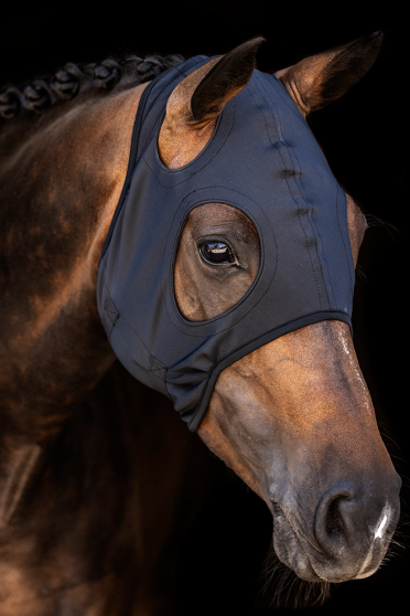 The COME BEST Titanium mask supports your horse for better concentration, eliminating fatigue and pain, relieving tension and in The COME BEST Titanium mask supports your horse for better concentration, eliminating fatigue and pain, relieving tension and in