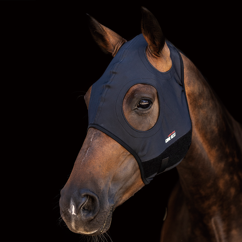 Lami Cell Titanium Masker Come Best Met Oren ondersteunt uw paard voor een betere concentratie, Lami Cell Titanium Masker Come Best Met Oren ondersteunt uw paard voor een betere concentratie,