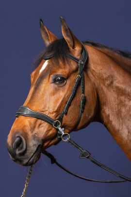 Dyon Motion Bridle 'D Collection' to ride without snaffle in brown and black