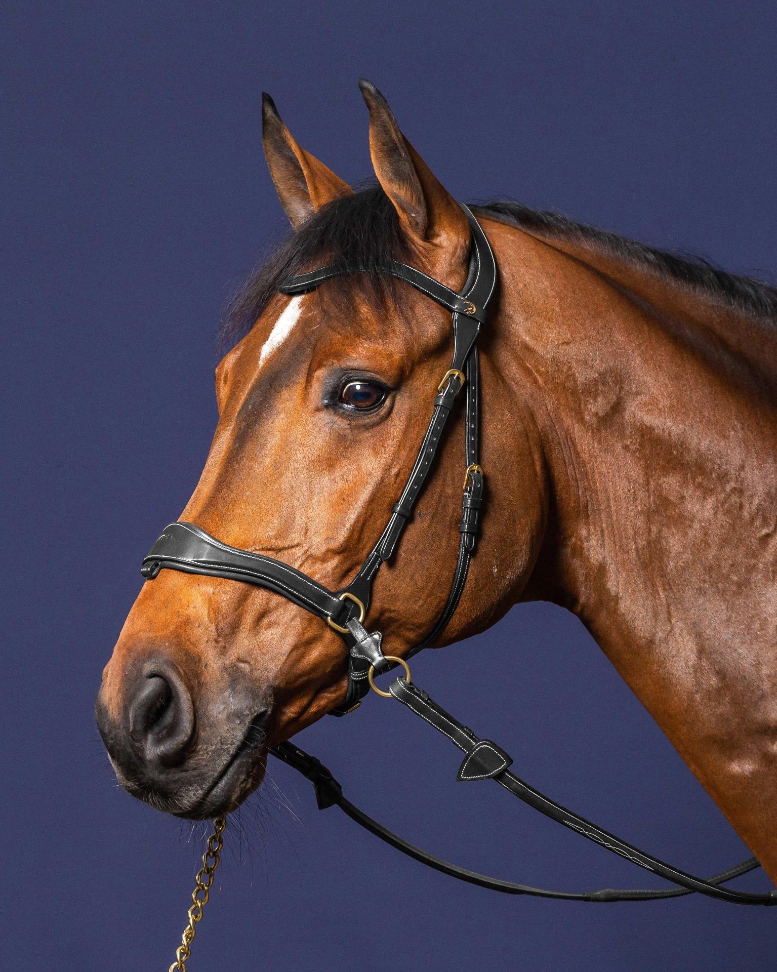 Dyon Motion Bridle 'D Collection' Bitloos rijden leverbaar in bruin en zwart