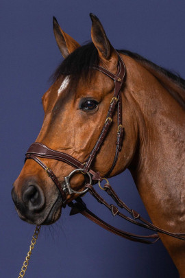 Dyon Motion Bridle 'D Collection' Bitloos rijden leverbaar in bruin en zwart