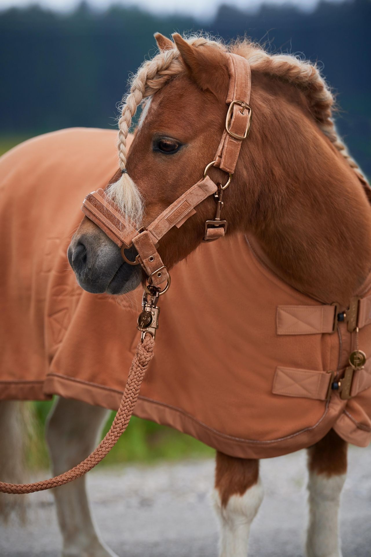 Eskadron Headcollar Velvet Jewel Cognac  Full and Cob pony and also Shetty
