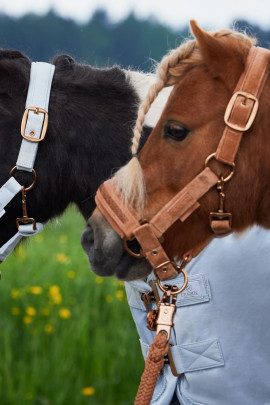 Eskadron Headcollar Velvet Jewel Cognac  Full and Cob pony and also Shetty