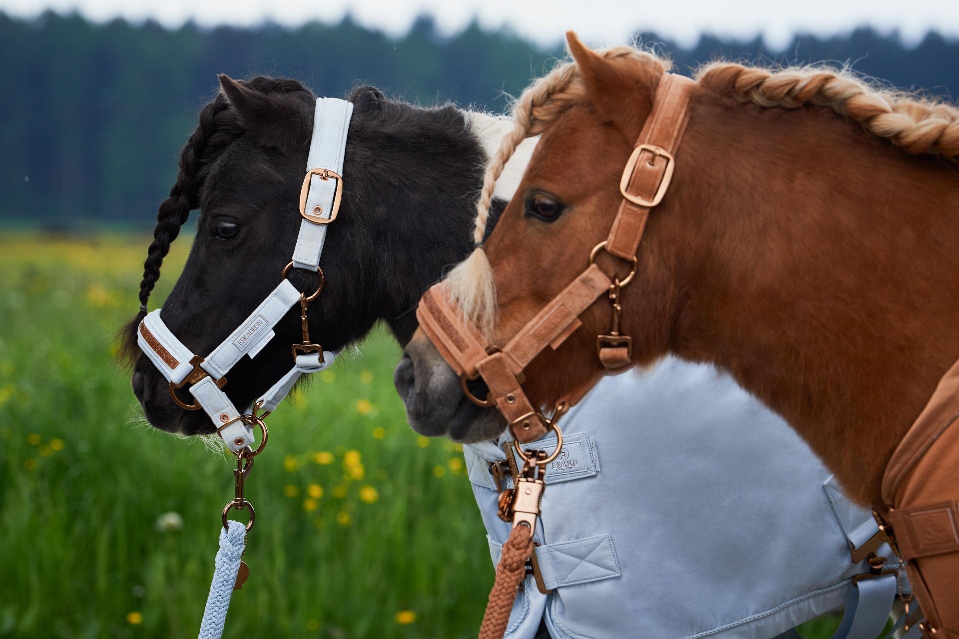 Eskadron Headcollar Velvet Jewel Cognac  Full and Cob pony and also Shetty