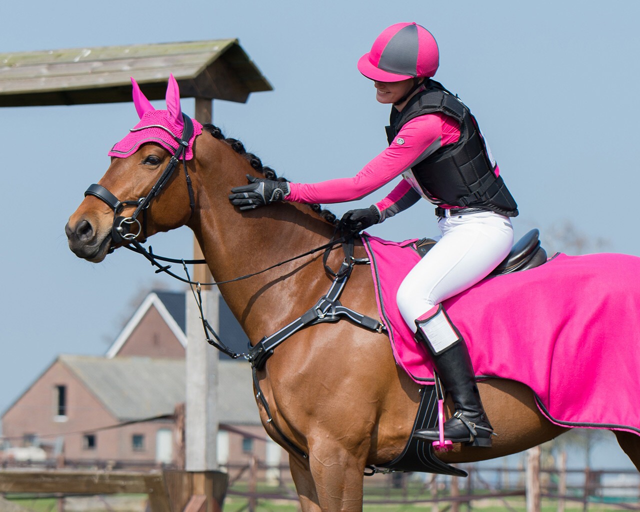 QHP Sheepskin Singel Bruin, Heerlijk zacht en zeer comfortabel voor je paard QHP Sheepskin Singel Bruin, Heerlijk zacht en zeer comfortabel voor je paard