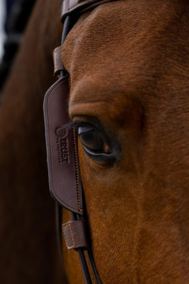 Trust Equestrian Blinkers, leverbaar in de kleuren bruin en zwart.