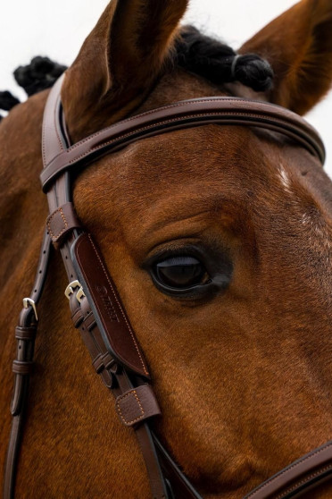Trust Equestrian Blinkers, leverbaar in de kleuren bruin en zwart.