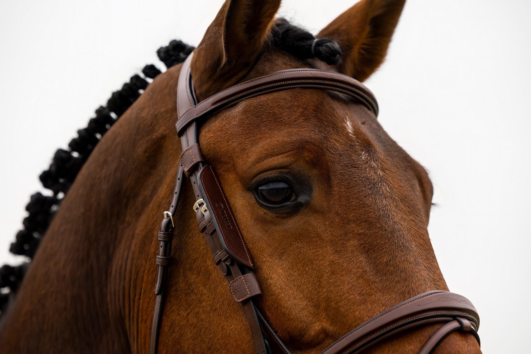 Trust Equestrian Blinkers, leverbaar in de kleuren bruin en zwart.