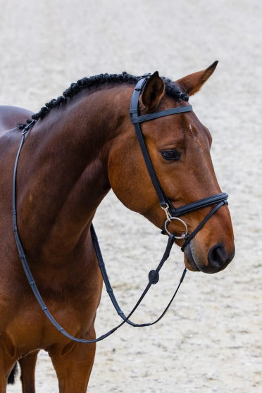 Trust Equestrian Hoofdstel Hamburg Rubberen Teugels Met Stops Trust Equestrian Hoofdstel Hamburg Rubberen Teugels Met Stops