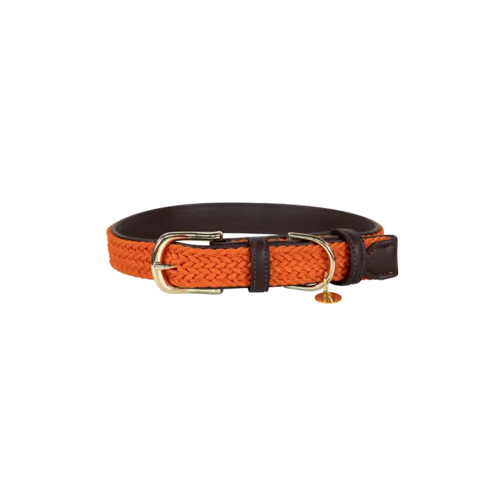 Kentucky Horsewear Plaited Nylon Hondenhalsband in een sprekende oranje kleur Kentucky Horsewear Plaited Nylon Hondenhalsband in een sprekende oranje kleur