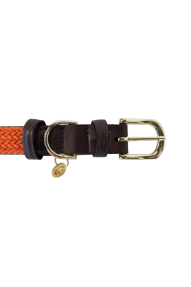 Kentucky Horsewear Plaited Nylon Hondenhalsband in een sprekende oranje kleur Kentucky Horsewear Plaited Nylon Hondenhalsband in een sprekende oranje kleur