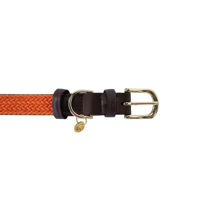 Kentucky Horsewear Plaited Nylon Hondenhalsband in een sprekende oranje kleur Kentucky Horsewear Plaited Nylon Hondenhalsband in een sprekende oranje kleur