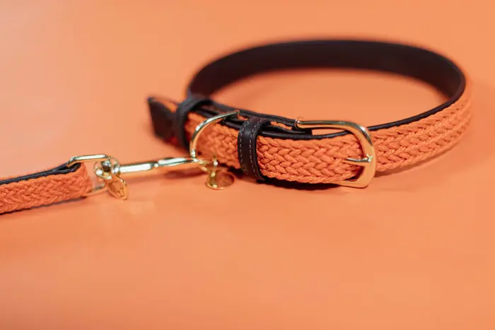Kentucky Horsewear Plaited Nylon Hondenhalsband in een sprekende oranje kleur Kentucky Horsewear Plaited Nylon Hondenhalsband in een sprekende oranje kleur