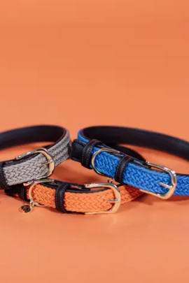 Kentucky Horsewear Plaited Nylon Hondenhalsband sprekende oranje Beige Kentucky Horsewear Plaited Nylon Hondenhalsband sprekende oranje Beige