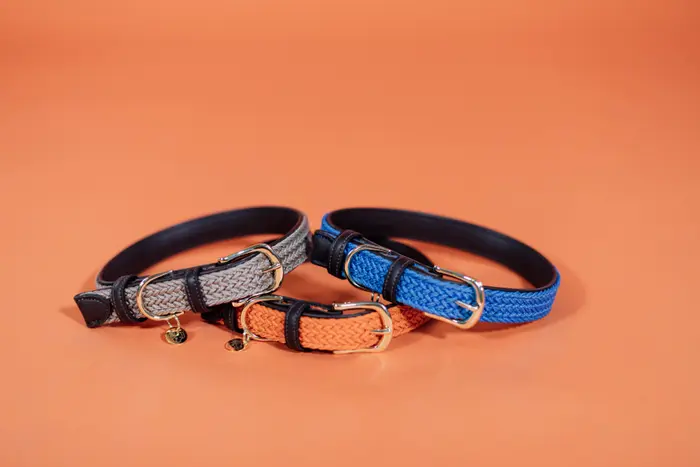 Kentucky Horsewear Plaited Nylon Hondenhalsband sprekende oranje Beige Kentucky Horsewear Plaited Nylon Hondenhalsband sprekende oranje Beige