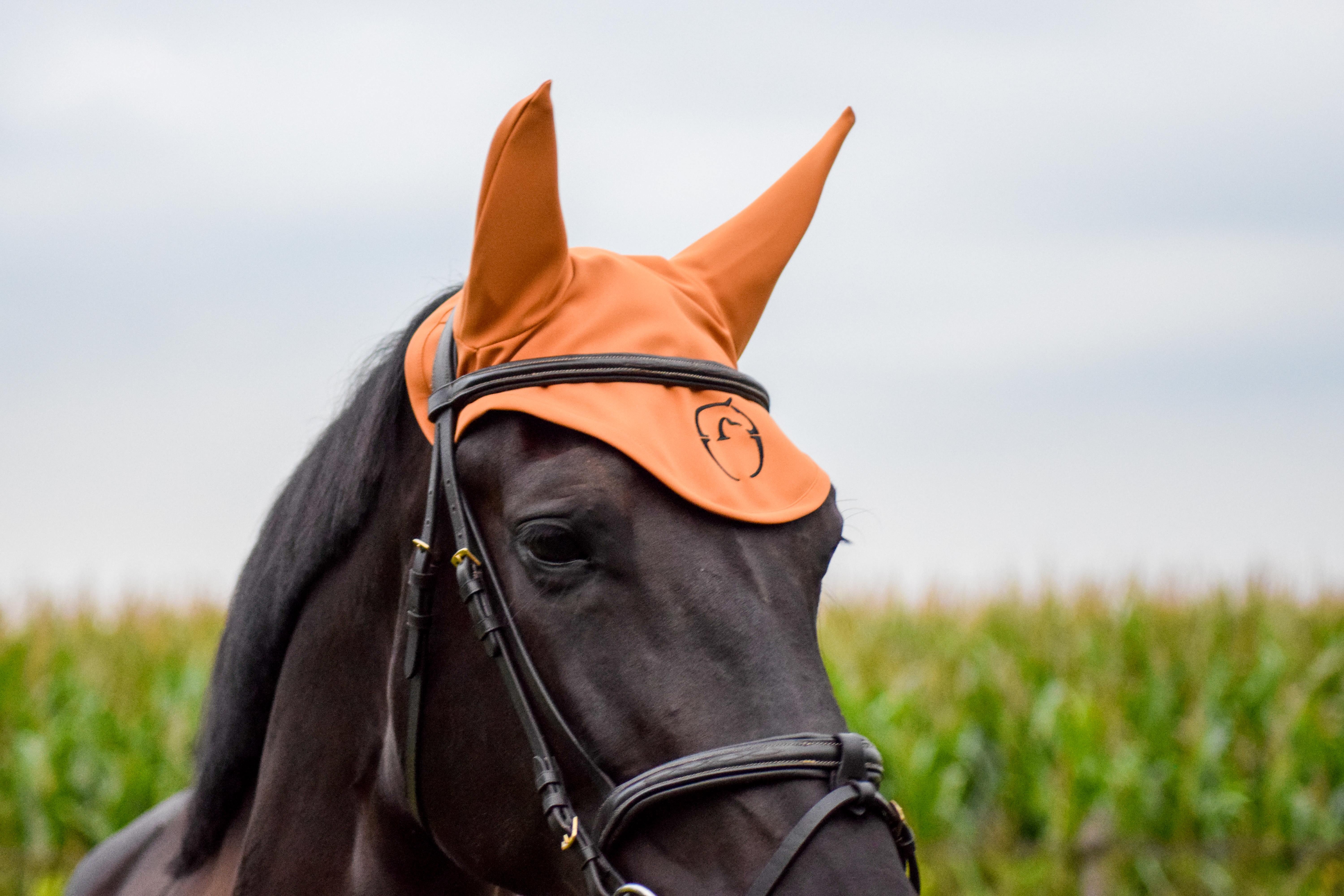 Ridershouse: Vestrum Alassio Jersey Earnet - Turmeric yellow/orange Ridershouse: Vestrum Alassio Jersey Earnet - Turmeric yellow/orange