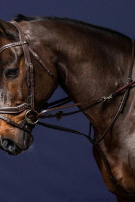 Ridershouse: Dyon Training Aid Howlett + Martingale "Working" - brown or black