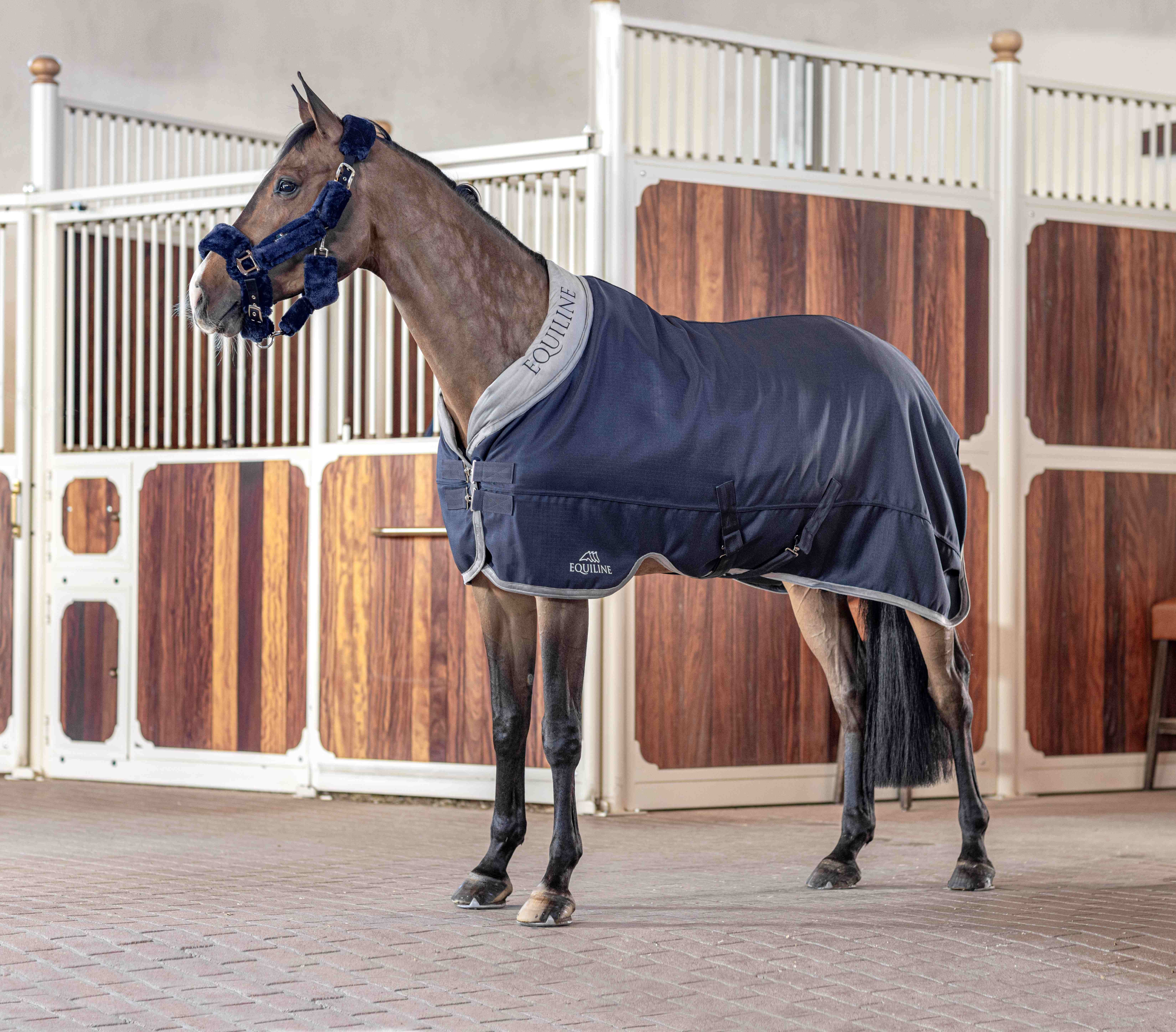 Ridershouse: Equiline Stable Rug Anthuriu 400 Gram - in the colors Blue / Grey