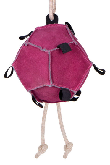 Ridershouse: QHP Horse Toy Ball roze paardenspeelgoed of leuk voor de hond Ridershouse: QHP Horse Toy Ball roze paardenspeelgoed of leuk voor de hond