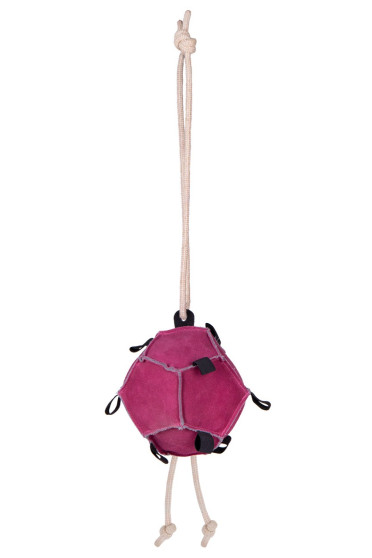 Ridershouse: QHP Horse Toy Ball roze paardenspeelgoed of leuk voor de hond Ridershouse: QHP Horse Toy Ball roze paardenspeelgoed of leuk voor de hond