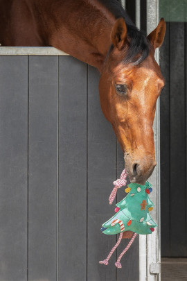 Ridershouse: QHP Horse Toy Ball roze paardenspeelgoed of leuk voor de hond Ridershouse: QHP Horse Toy Ball roze paardenspeelgoed of leuk voor de hond