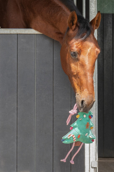 Ridershouse: QHP Horse Toy Ball roze paardenspeelgoed of leuk voor de hond Ridershouse: QHP Horse Toy Ball roze paardenspeelgoed of leuk voor de hond