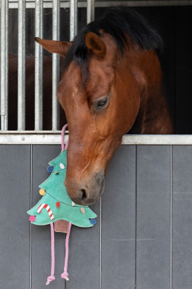 Ridershouse: QHP Horse Toy Ball roze paardenspeelgoed of leuk voor de hond Ridershouse: QHP Horse Toy Ball roze paardenspeelgoed of leuk voor de hond