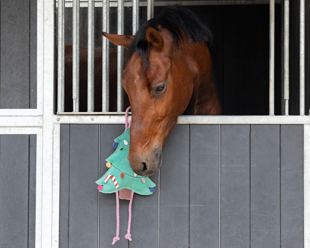 Ridershouse: QHP Horse Toy Ball roze paardenspeelgoed of leuk voor de hond Ridershouse: QHP Horse Toy Ball roze paardenspeelgoed of leuk voor de hond