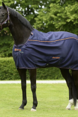 Ridershouse: Bucas Therapy Mesh Cooler - in de kleur Navy/Orange 145/198