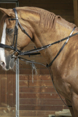 Ridershouse: Norton Pro Thiedemanteugel + Martingaal - bruin of zwart leer