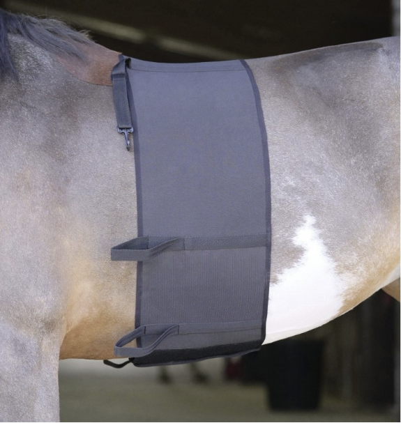 Norton Elastic Belly Band Body Bandage - protection from spur wounds - Ridershouse.com Norton Elastic Belly Band Body Bandage - protection from spur wounds - Ridershouse.com