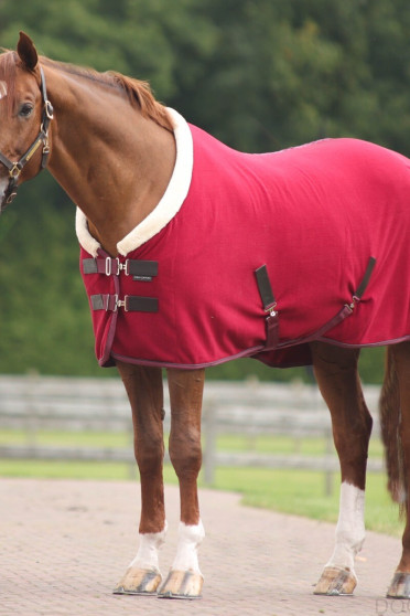 Equithème Fleece Blanket Teddy - Red - Ridershouse.com