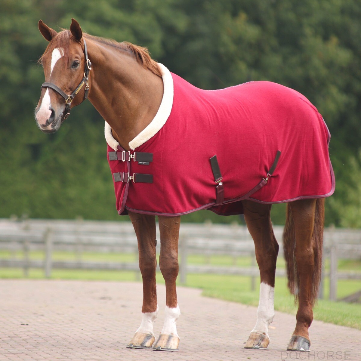 Equithème Fleece Blanket Teddy - Red - Ridershouse.com