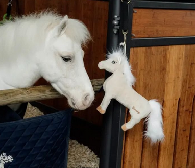 Kentucky Horsewear Relax Horse Toy Sammy Kentucky Horsewear Relax Horse Toy Sammy