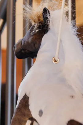 Kentucky Horsewear Relax Horse Toy Alwin Kentucky Horsewear Relax Horse Toy Alwin