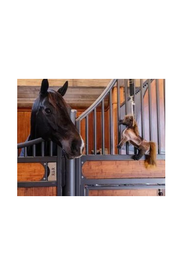 Kentucky Horsewear Relax Horse Toy Tableux Kentucky Horsewear Relax Horse Toy Tableux
