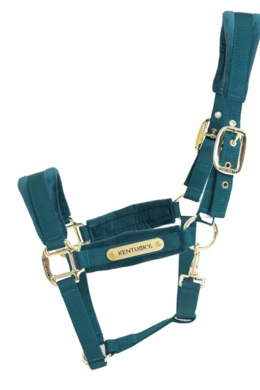 Velvet Halster Kentucky, Dit mooie Zachte halster voor jouw beste vriend Velvet Halster Kentucky, Dit mooie Zachte halster voor jouw beste vriend