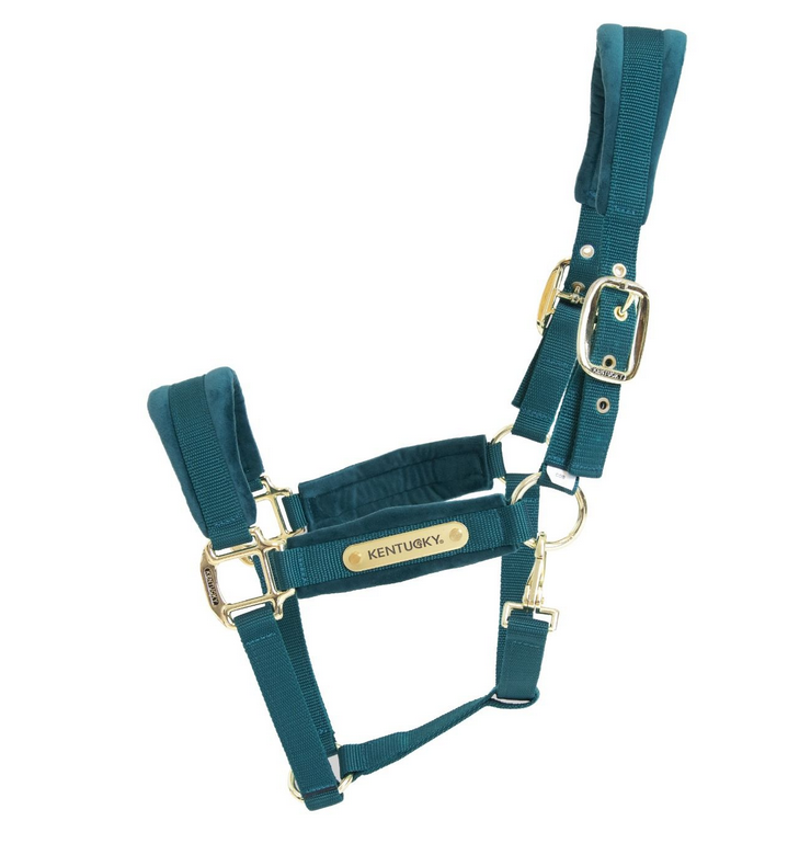 Velvet Halster Kentucky, Dit mooie Zachte halster voor jouw beste vriend Velvet Halster Kentucky, Dit mooie Zachte halster voor jouw beste vriend