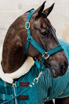 Velvet Halster Kentucky, Dit mooie Zachte halster voor jouw beste vriend