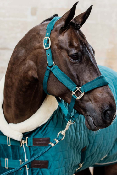 Velvet Halster Kentucky, Dit mooie Zachte halster voor jouw beste vriend Velvet Halster Kentucky, Dit mooie Zachte halster voor jouw beste vriend