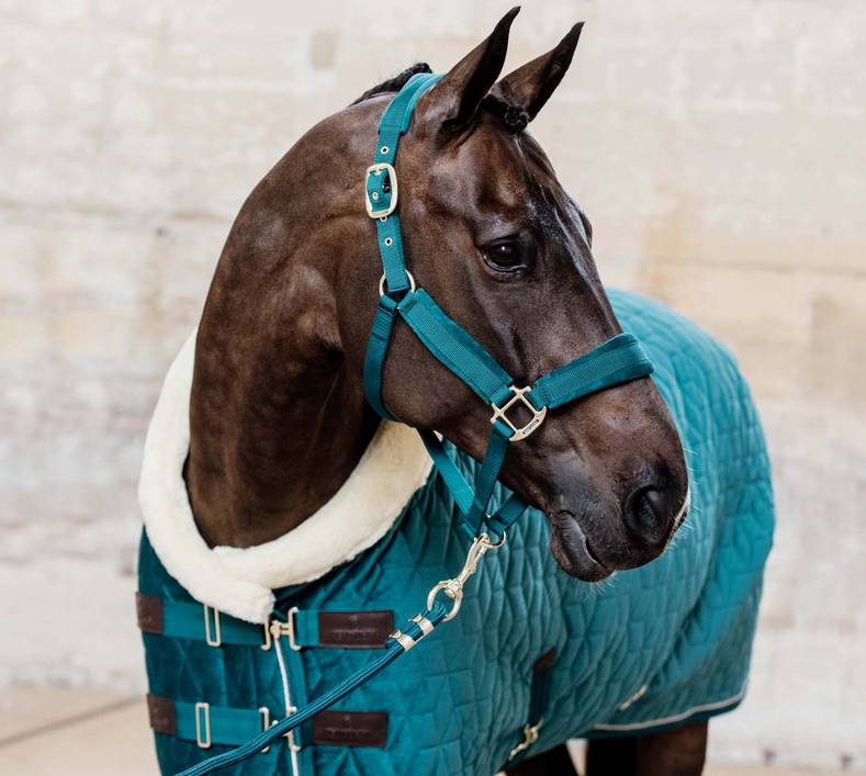 Velvet Halster Kentucky, Dit mooie Zachte halster voor jouw beste vriend Velvet Halster Kentucky, Dit mooie Zachte halster voor jouw beste vriend