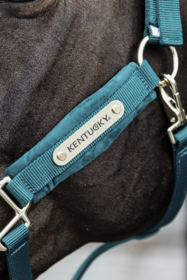 Velvet Halster Kentucky, Dit mooie Zachte halster voor jouw beste vriend Velvet Halster Kentucky, Dit mooie Zachte halster voor jouw beste vriend