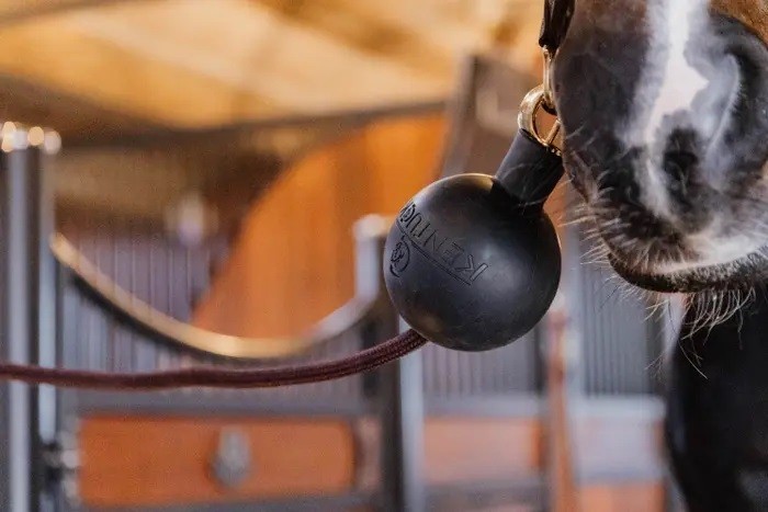 De ultieme bescherming om de veiligheid van je paard te garanderen tijdens het opzadelen of poetsen De ultieme bescherming om de veiligheid van je paard te garanderen tijdens het opzadelen of poetsen